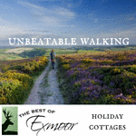 Dog Friendly Holiday Cottages on Exmoor